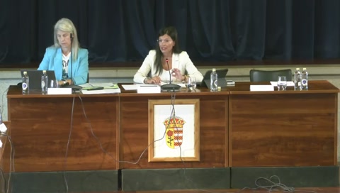 Pleno Ordinario Julio